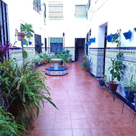 La Casa Del Patio En Pleno San Lorenzo Κόρδοβα Εξωτερικό φωτογραφία