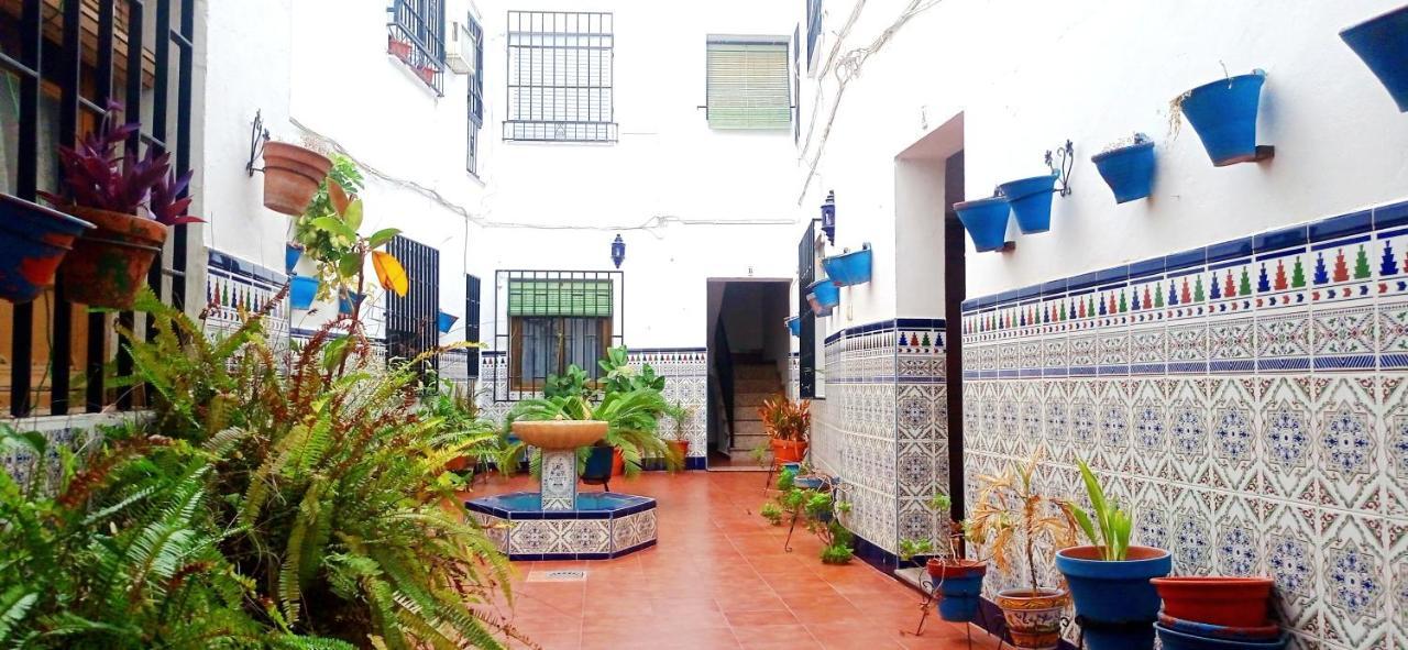 La Casa Del Patio En Pleno San Lorenzo Κόρδοβα Εξωτερικό φωτογραφία
