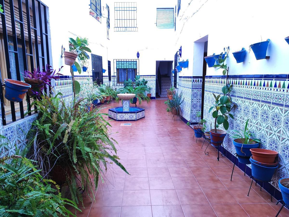 La Casa Del Patio En Pleno San Lorenzo Κόρδοβα Εξωτερικό φωτογραφία